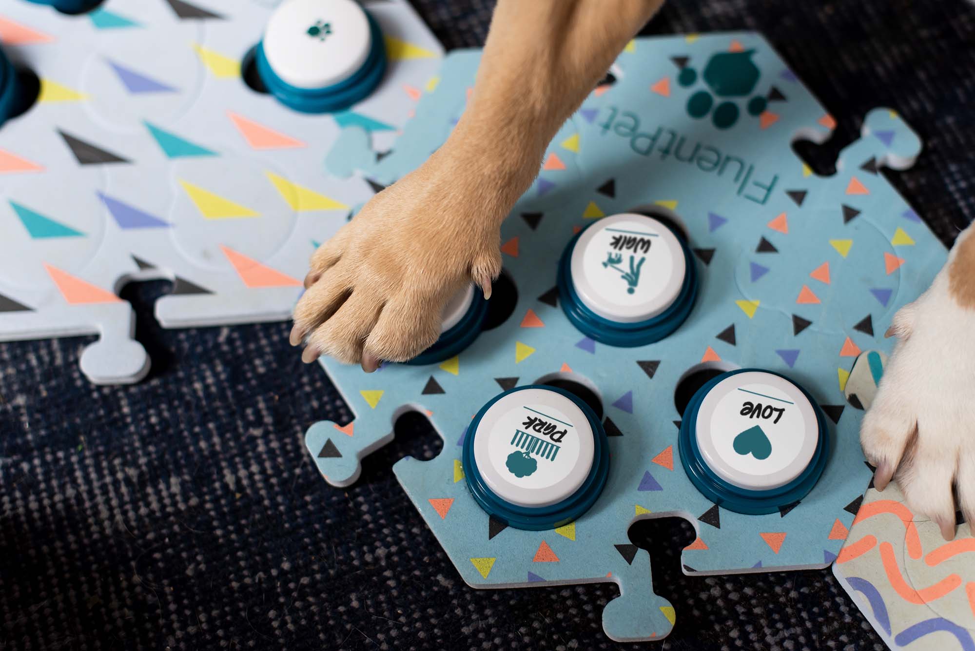 The Complete Guide To Teaching Dogs To Talk with Buttons – FluentPet