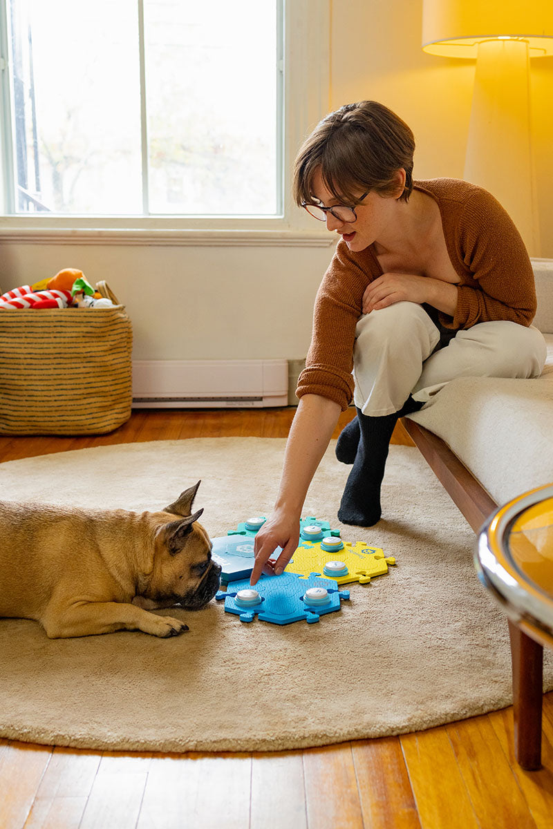 Dog Using Talking Button Talking Dog Buttons – FluentPet