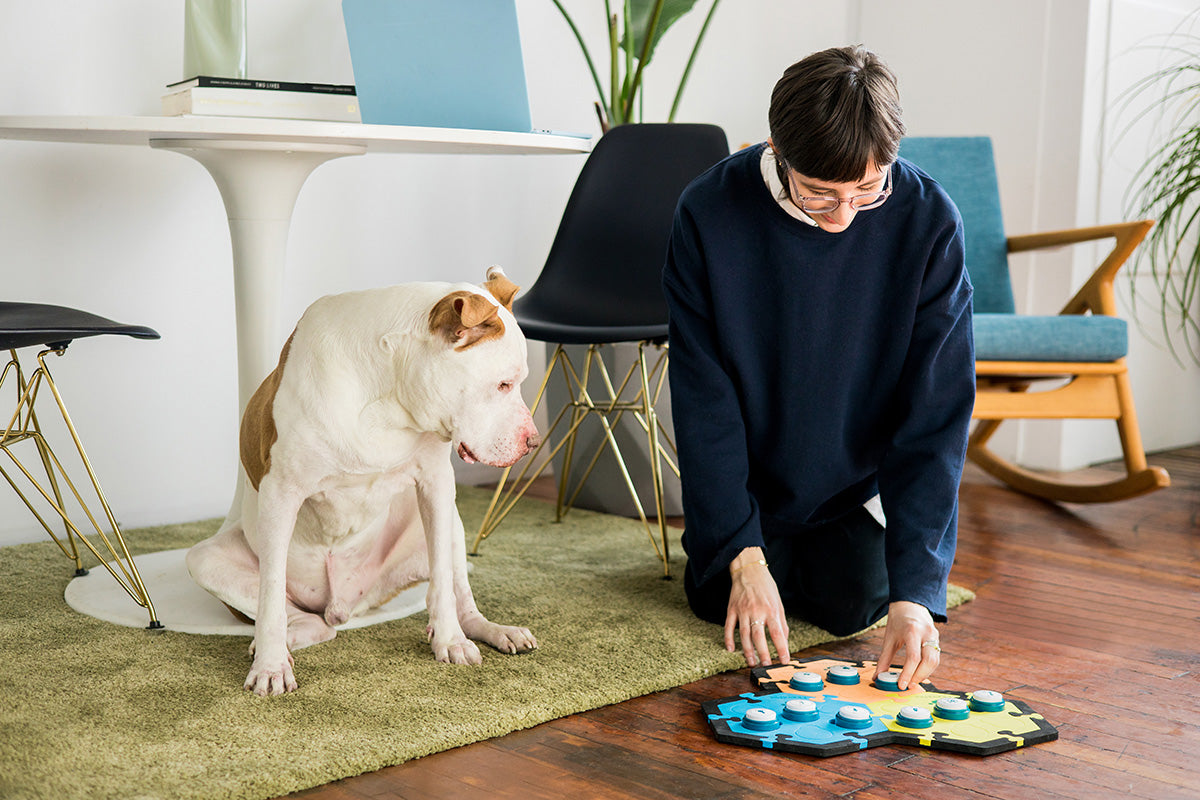 The FluentPet System combines ideas from speech language pathology and cognitive science to design arrangements that help you and your dog
