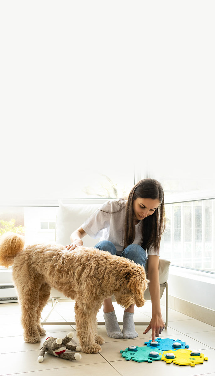 Dog Using Talking Button Talking Dog Buttons – FluentPet