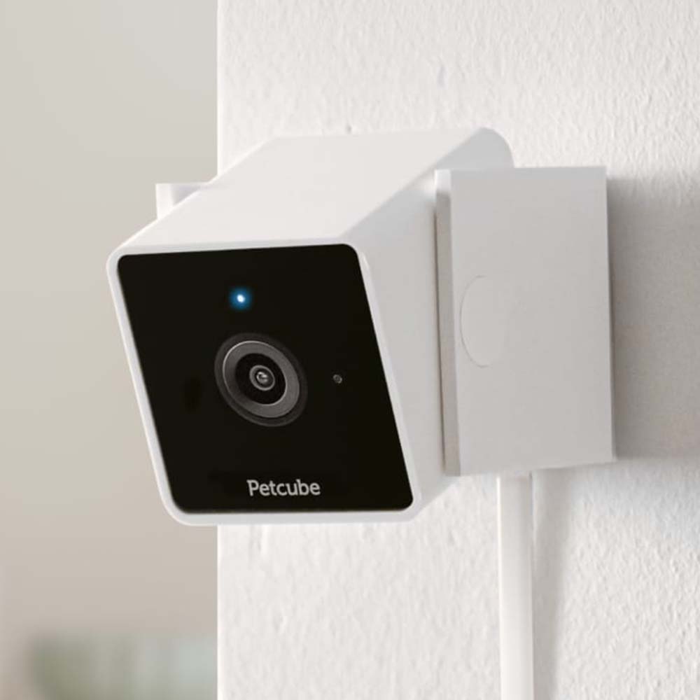 The PetCube Camera to use with FluentPet Connect