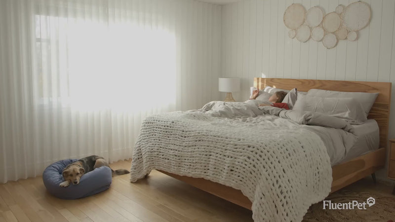 A women and her dog wake up in the morning. The dog goes downstairs and presses his FluentPet Dog Talking Button. The women wakes up when her phone beeps from her dog pressing the button. This video shows the FluentPet Connect Introduction.