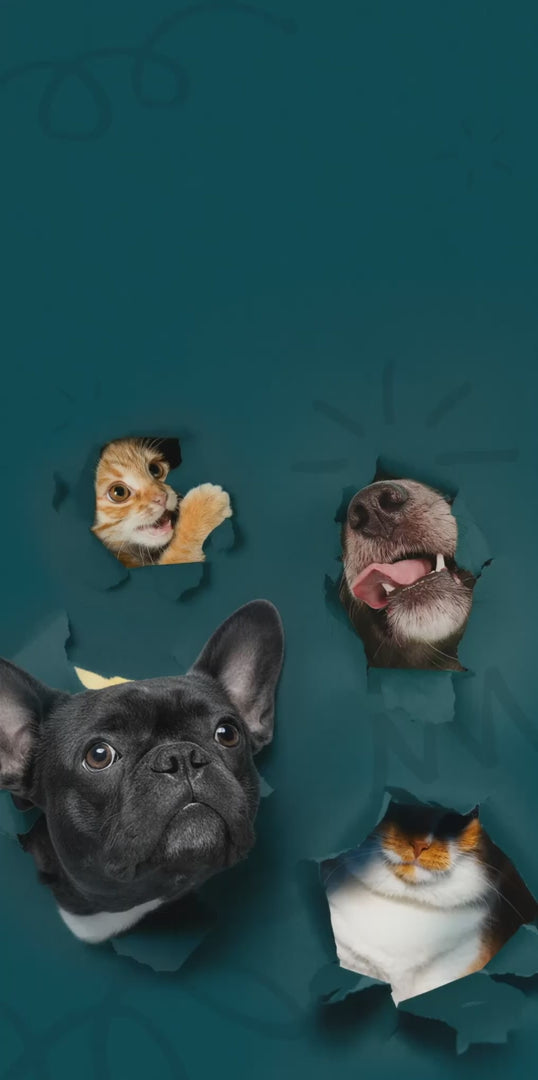 Talking Dog & Cat Buttons & HexTiles System by FluentPet