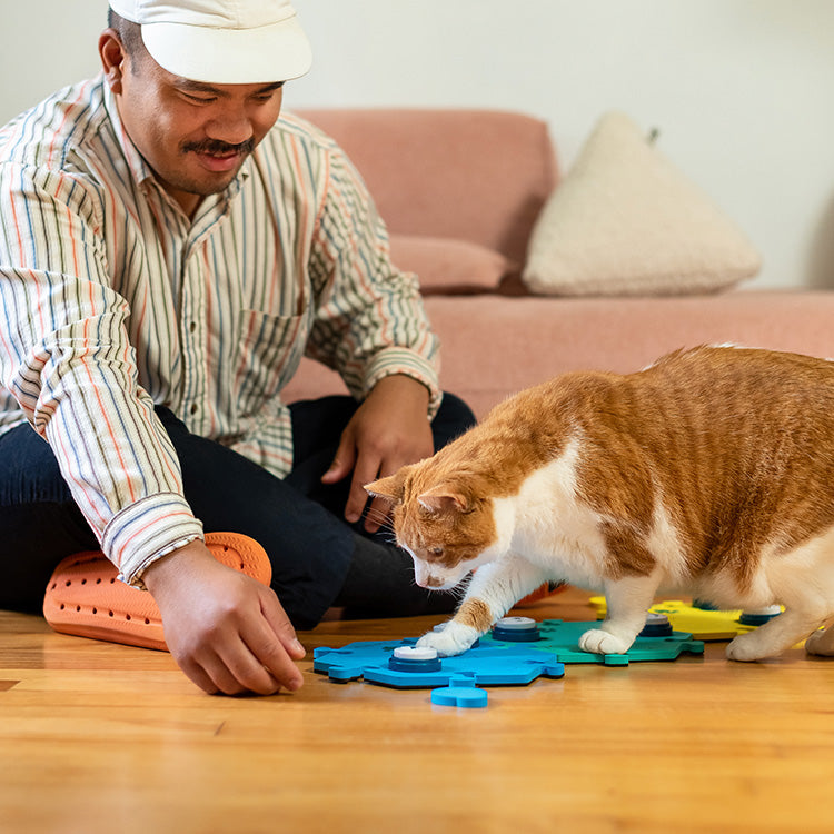 Cat Next Button Talking Cat Buttons - FluentPet