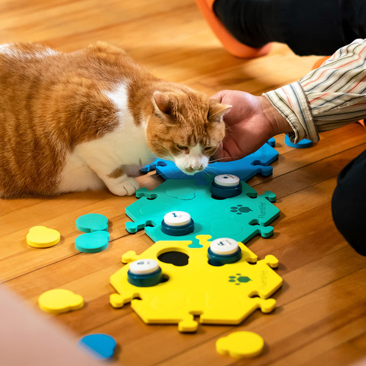 When your cat presses a button,   respond appropriately to let them know you understand. This helps your cat learn which button means which word or action. 