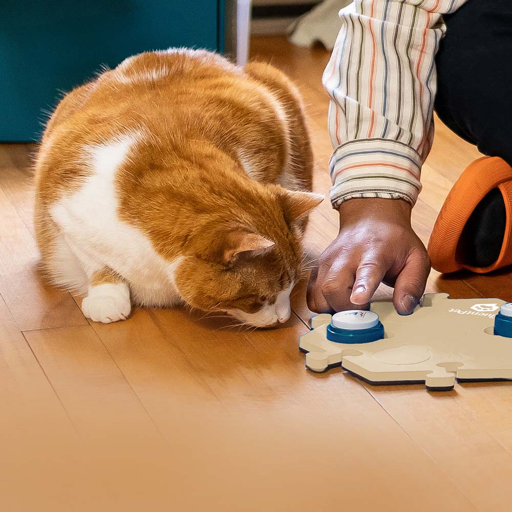 Cat looking at Talking Dog Buttons