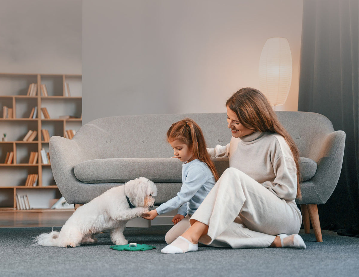 What If Your Child Could Discover How Your Dog ‘Talks’?