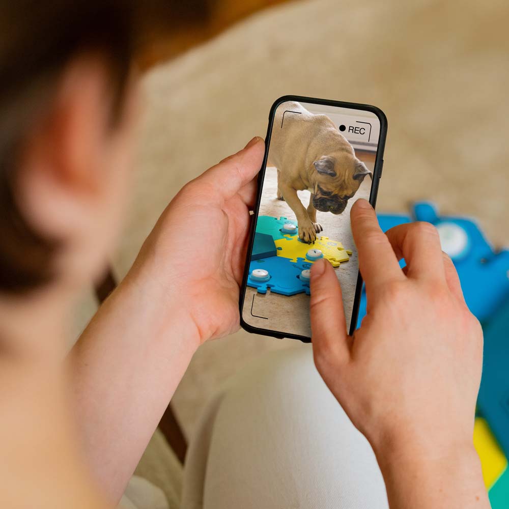 Women looking at a video of her dog on her phone