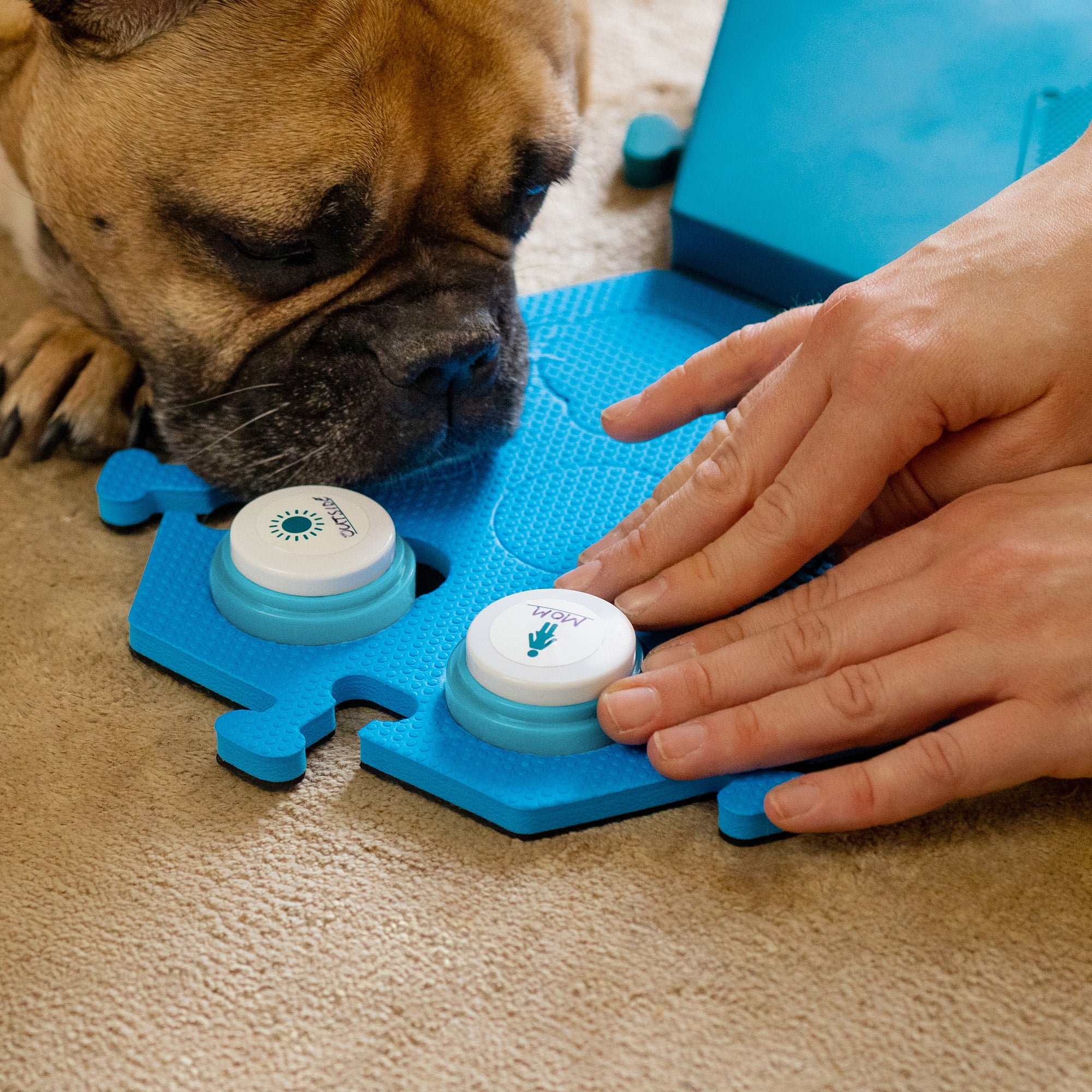 FluentPet Connect Button